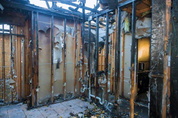 Professional Fire Damage Removal technician working in Mukwonago, WI